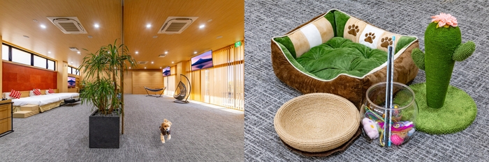 別棟みなみテラス・カゼドッグ&キャット(2)