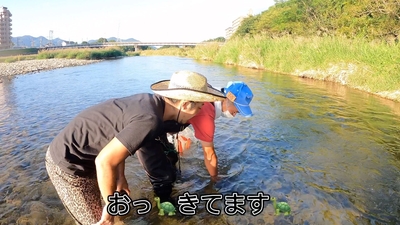 7ro1dW6RQv2VZ9phzxoh.jpg?w=940&h=940