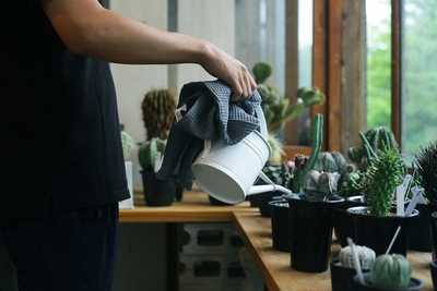 7s0MPebsNeWn2iiBzXdY.jpg?w=940&h=940