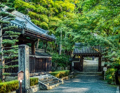 ▲明智光秀ゆかりの西教寺