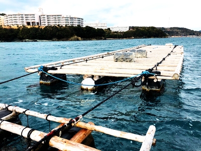 7tFc7JmgRZb2QIURYWHE.jpg?w=940&h=940