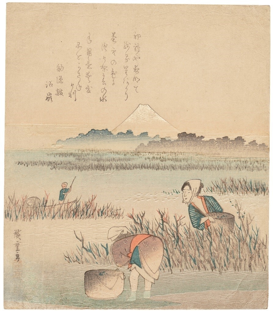 歌川広重「海苔採り」