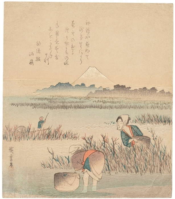 歌川広重「海苔採り」