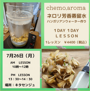 7x6nkHMB77MtLrMHctI2.png?w=940&h=940