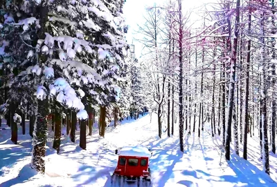 雪上車アドベンチャーライド（雪遊びパーク）