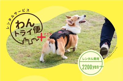 7y93tWdGgaIGV0hoED77.jpg?w=940&h=940