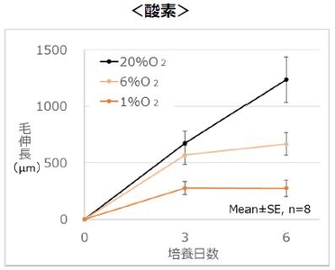 7yYcyJoXHOiN97IN0Oor.jpg?w=940&h=940