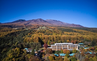 7yxjjGihWvYumeb39zbL.jpg?w=940&h=940