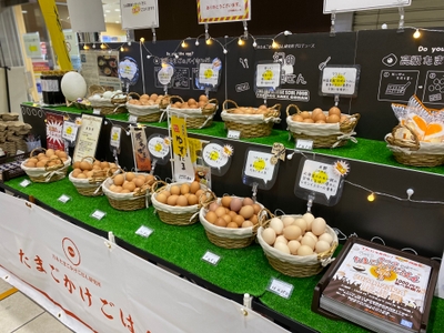 7zPzRRMslCuhHwXgkjLy.jpeg?w=940&h=940