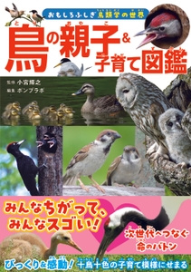 『鳥の親子&子育て図鑑』書影