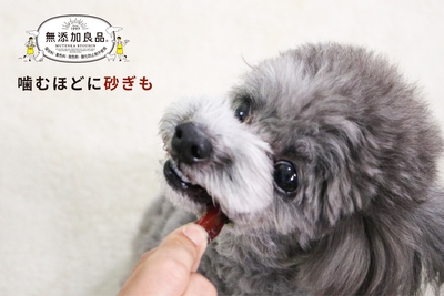 無添加良品　噛むほどに砂ぎも細切り仕立て