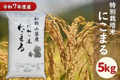 80Ywrc2fw39TDwZzVES8.jpeg?w=940&h=940