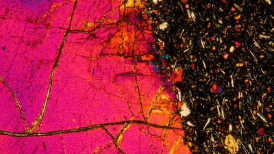 817EUGeLhCiwSFTDKNXS.png?w=940&h=940