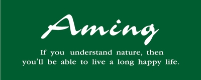 81shP64XvehyjSfdYxF4.jpg?w=940&h=940