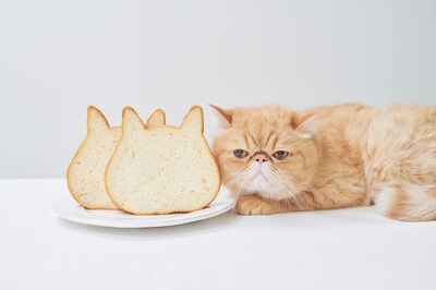 83XM2YlygJEVcNVbqogk.jpg?w=940&h=940