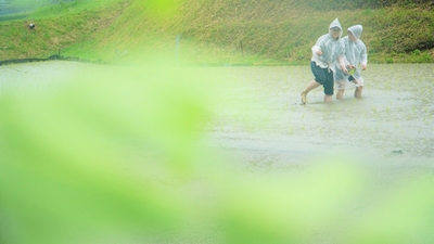 83cX463PLSLn5uiHyYZh.jpg?w=940&h=940