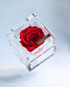 83geC75OyAi6l2X9sCMG.jpg?w=940&h=940