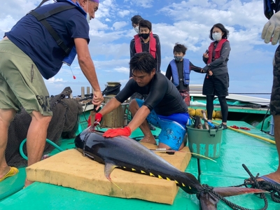 83mLexIRmdEFM2SYtTSK.jpg?w=940&h=940