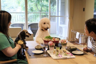 愛犬同伴専用客室
