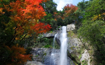 86faOMxr1ytKj60Z1Kue.jpg?w=940&h=940