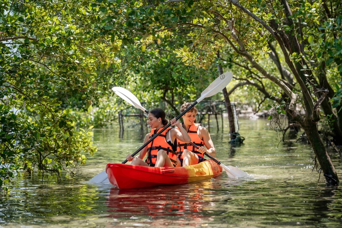 アヴァニ+・コー・ランタ・クラビ・リゾート アクティビティ:マングローブ・カヤック イメージ