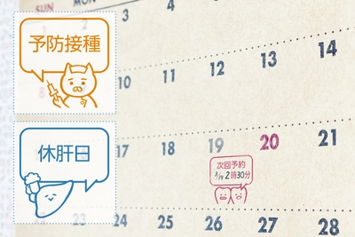 89lTJyxbgZ6SS6d0vuA7.jpg?w=940&h=940