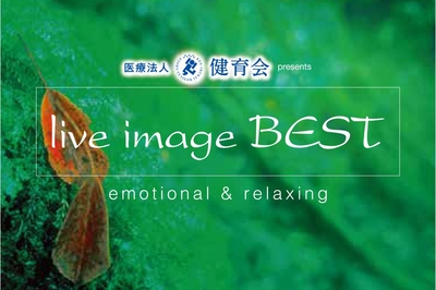 8BPAuAZzEZGJkw1uoMos.jpg?w=940&h=940