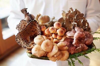 8Bov7Qpgvl5Eb5G0laQ2.jpg?w=940&h=940