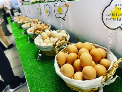 北海道から沖縄まで日替わりで数十種類のたまごがならぶ