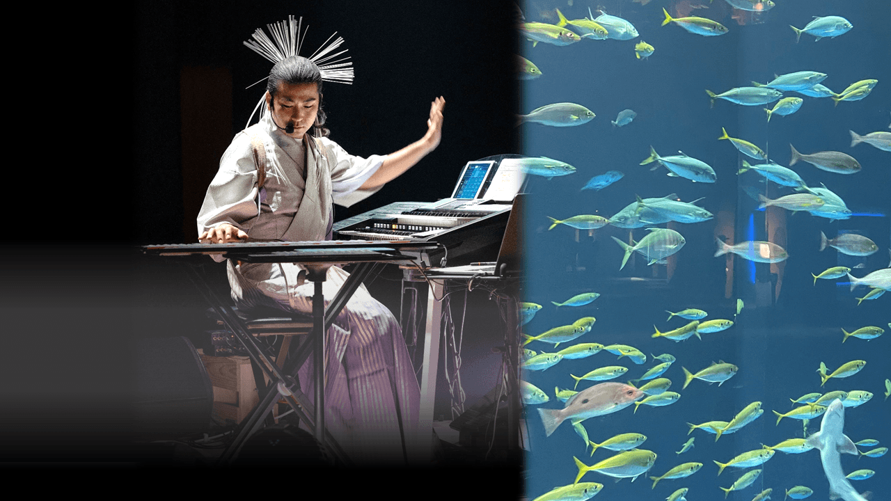 日本人初5次元キーボード・パフォーマー薮井佑介による 四国水族館 