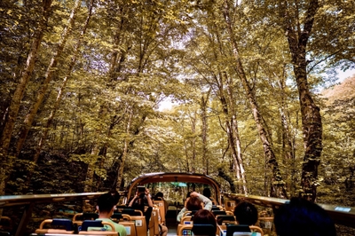 8ENXPuIUD83vFV2kWKsx.jpg?w=940&h=940