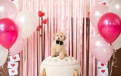 8FHVyEb0zRTQ2t3no2Cd.jpg?w=940&h=940