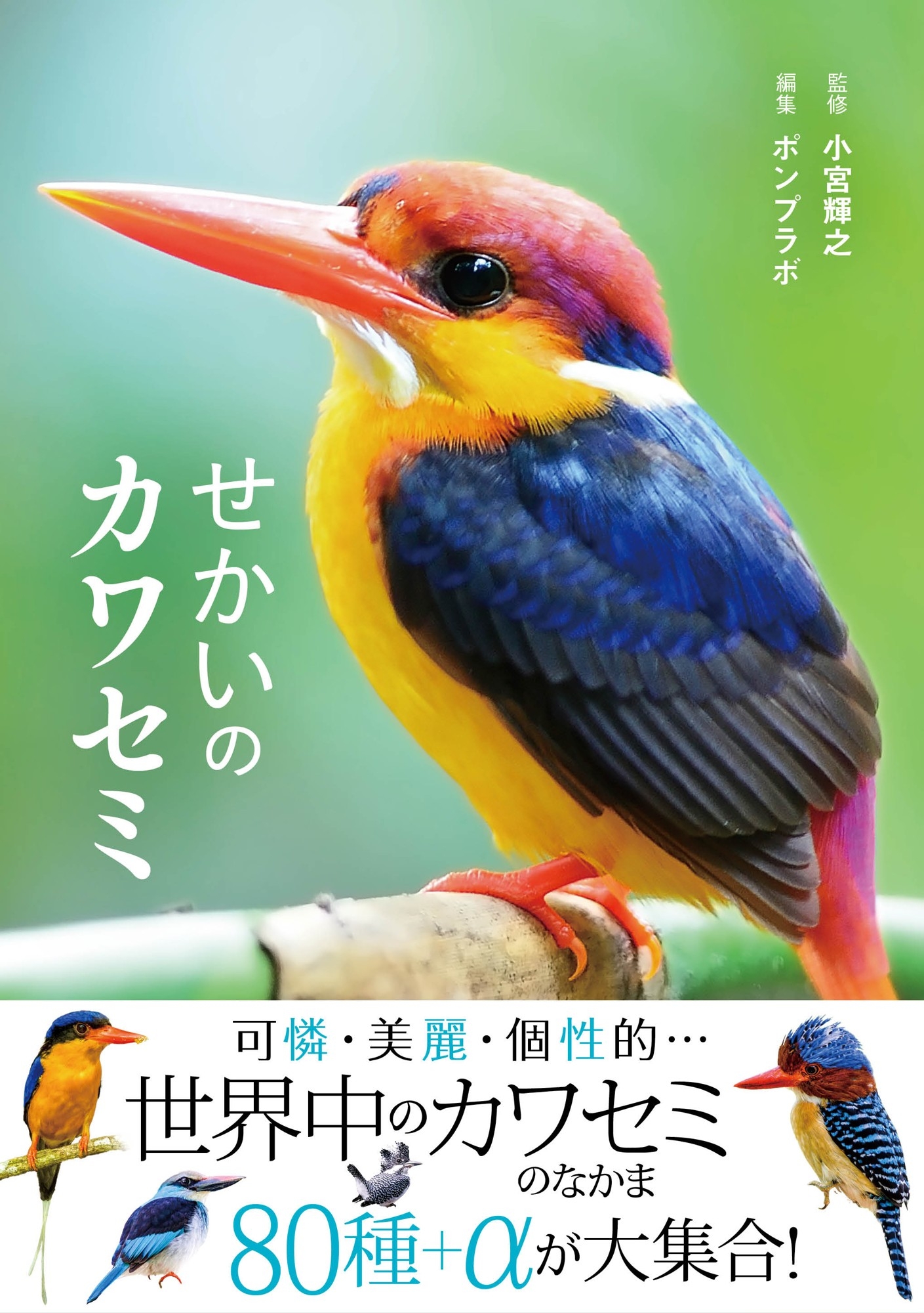『せかいのカワセミ』書影