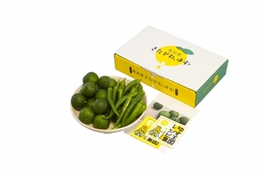 コロナ禍で行き場を失う高知の高級「青ゆず」は夏が旬！ 村のお母さんのレシピ付き「手作りゆずこしょうセット」を発売