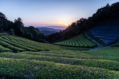 8HP0KqXTqQYMe2Pddbpi.jpg?w=940&h=940