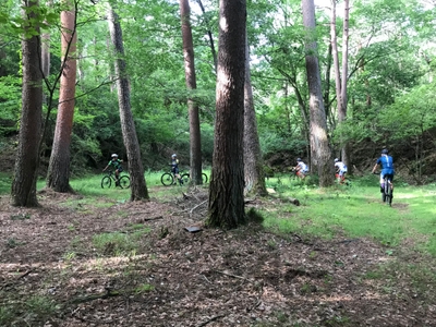 8ICncntG8WuadU6EVo75.jpg?w=940&h=940