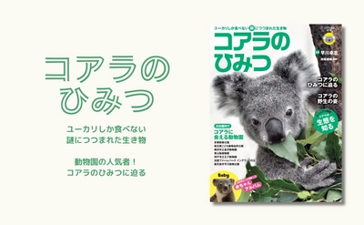 『コアラのひみつ』4月2日発売 - 動物園の人気者のすべてを解説