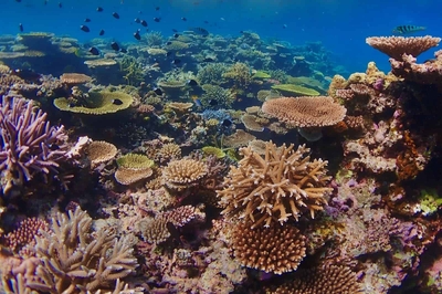 8L0sx0Yh5FZvXN8H93KD.jpg?w=940&h=940