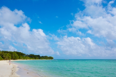 8LHjYPvlgYDHxliGwZ0O.jpg?w=940&h=940