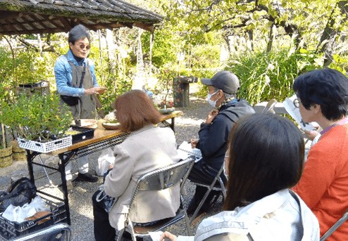 菊の育て方教室(過去開催の様子)