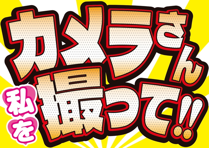 応援ボードの一部(たくさんの種類があります)