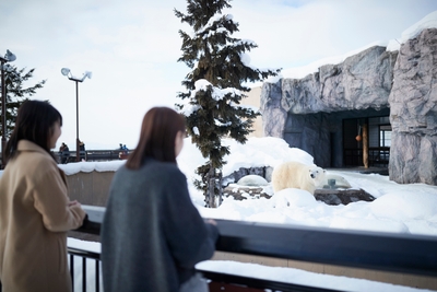 8LcdAal0OeJtvFYf6Wxp.jpg?w=940&h=940