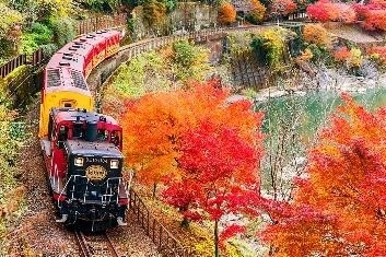 8LiS8WCTaxl5CZv9RnP0.jpeg?w=940&h=940