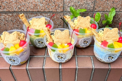 8M1r4nmz9IA6B7z4A62f.jpg?w=940&h=940