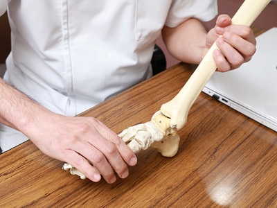 8MoFbgei3F7VWJnwVbC8.jpg?w=940&h=940