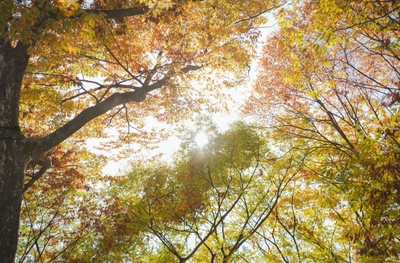 8N73Y9fdkNbf3zcTPP1H.jpg?w=940&h=940