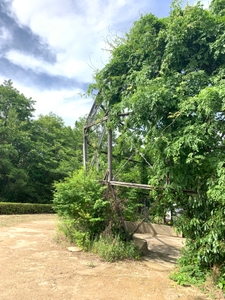 8O8l1lx1M9E5aDuS28On.jpeg?w=940&h=940