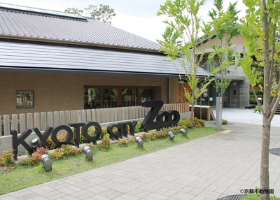 8OUTzc8tlnbpT7NZsGSg.jpg?w=940&h=940