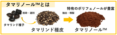 タマリンド種子からタマリノール™ができるまで