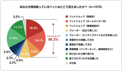 8OsoewAvzBZbfA2FhHIz.png?w=940&h=940